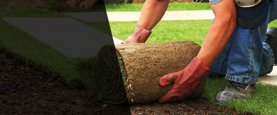 West Greenwich Landscapers